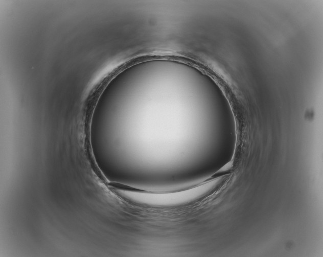 X0000097661456200803142121