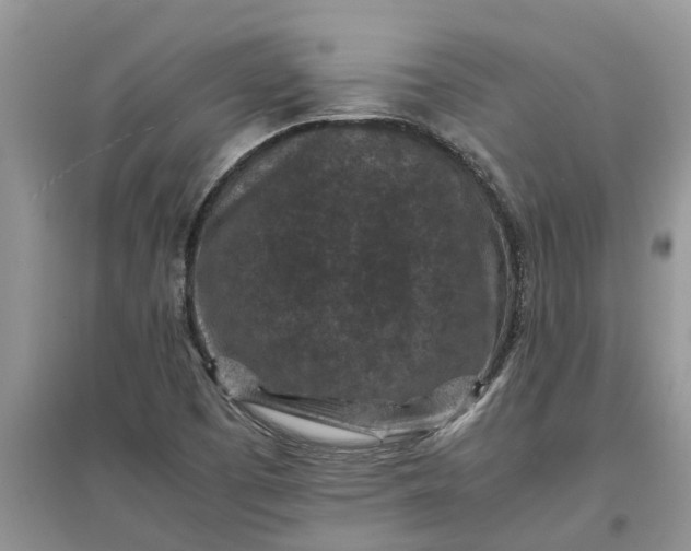 X0000097661457200803142121