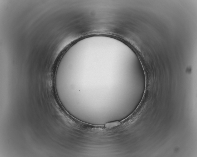 X0000097661458200803142121