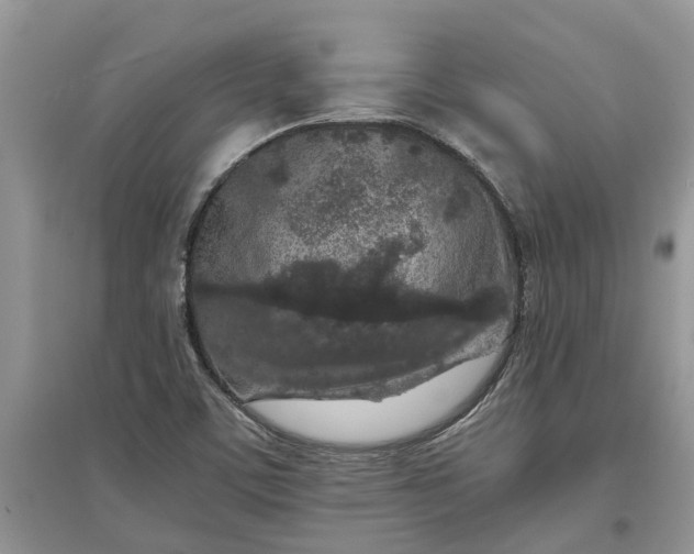 X0000097661459200803142121