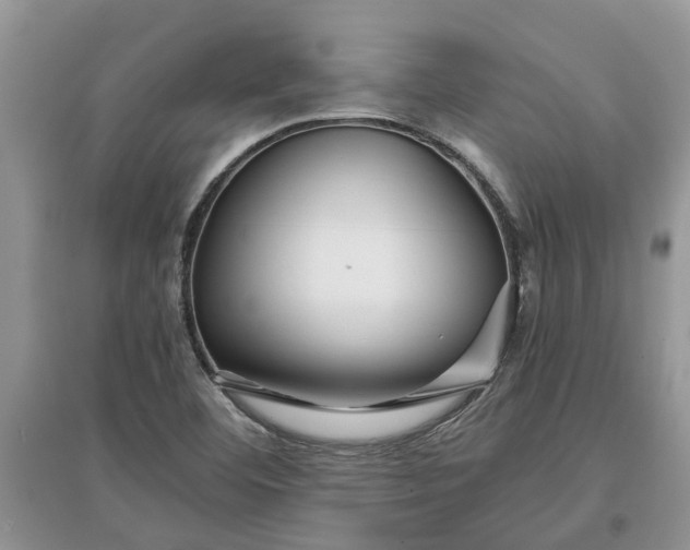 X0000097661460200803142121