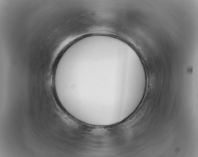 X0000097661462200803142121
