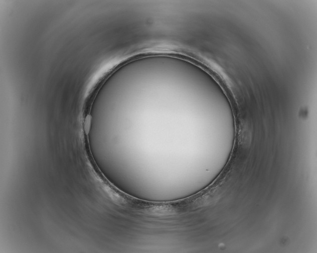 X0000097661464200803142121