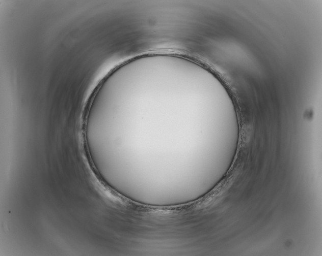 X0000097661470200803142121