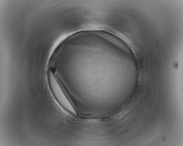 X0000097661472200803142121