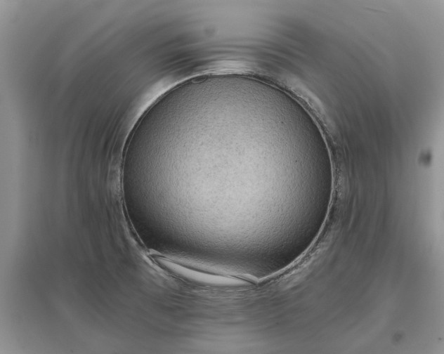 X0000097661473200803142121
