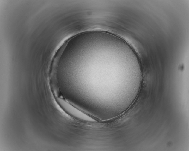 X0000097661476200803142121