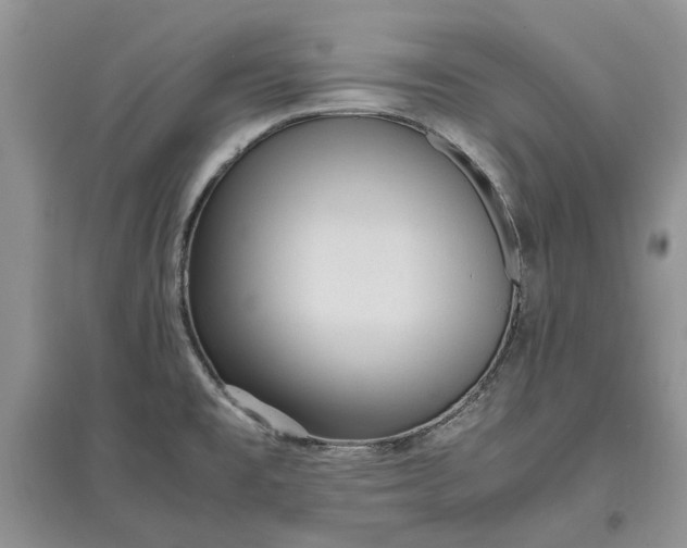 X0000097661477200803142121