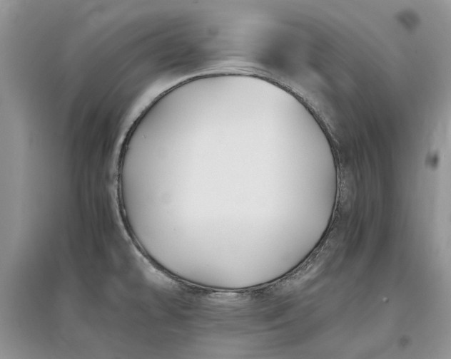 X0000097661478200803142121