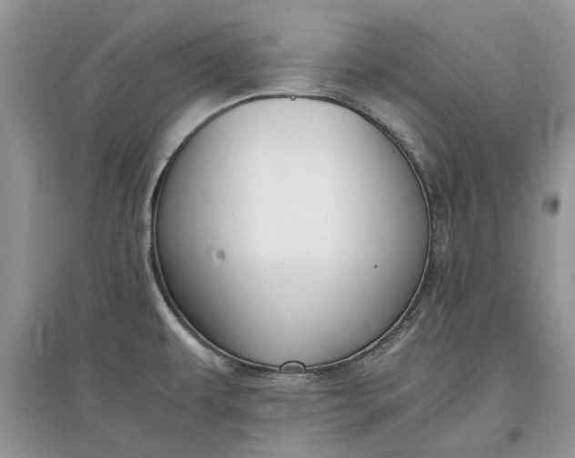 X0000097661479200803142121