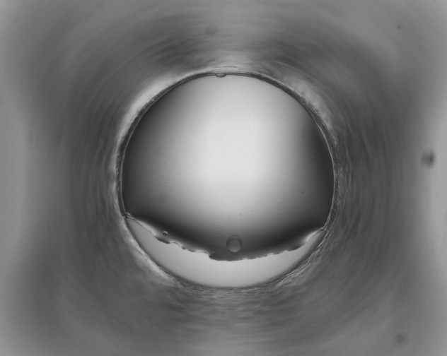 X0000097661480200803142121