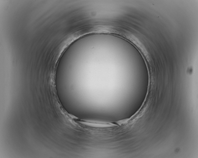 X0000097661481200803142121