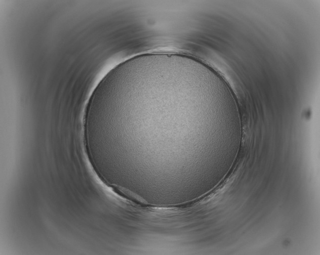X0000097661483200803142121