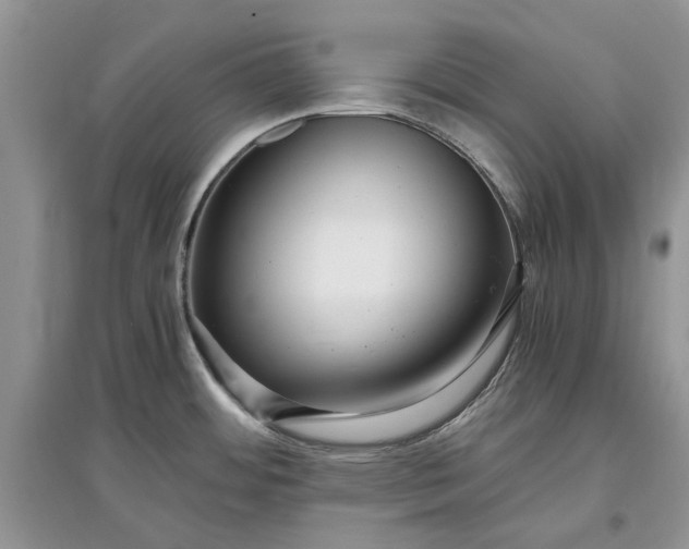 X0000097661484200803142121