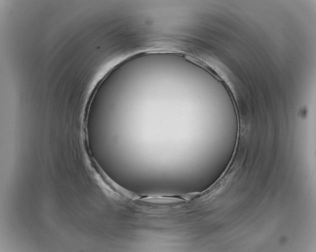 X0000097661485200803142121