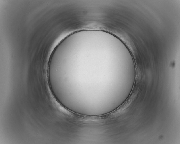 X0000097661486200803142121