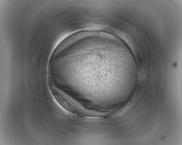 X0000097661487200803142121