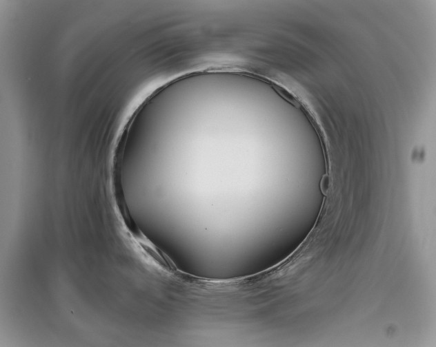 X0000097661488200803142121