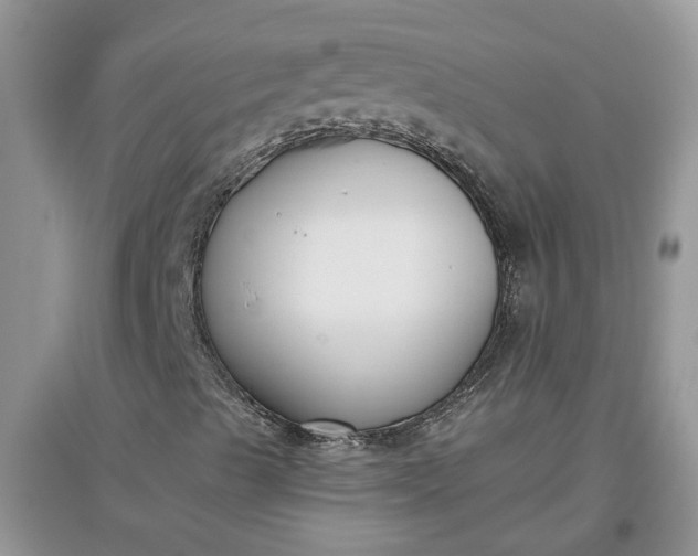 X0000097661489200803142120