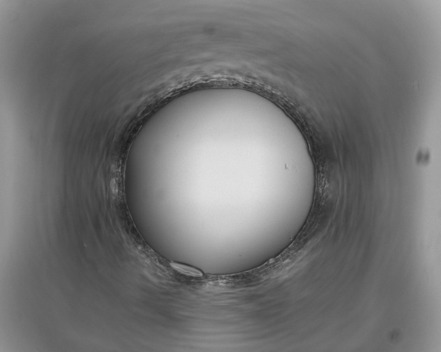 X0000097661490200803142120