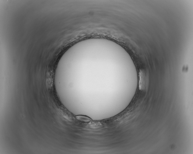 X0000097661491200803142120