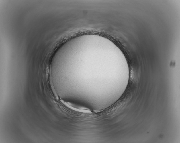 X0000097661492200803142120