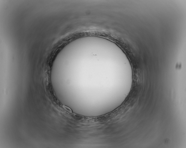 X0000097661493200803142120