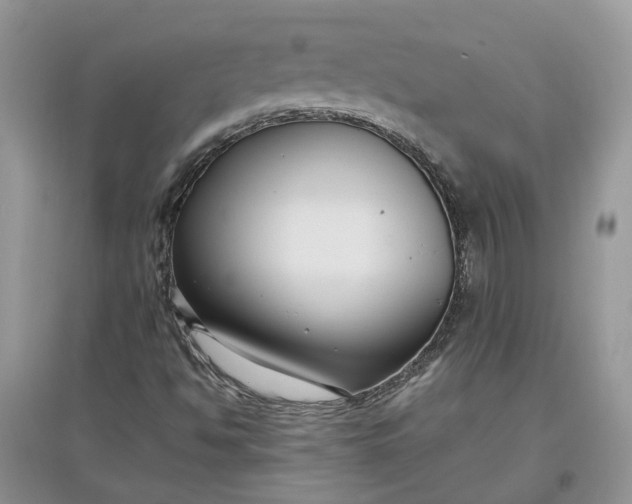 X0000097661494200803142120