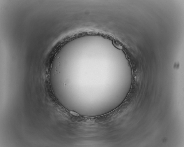 X0000097661495200803142120