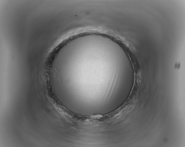X0000097661496200803142120