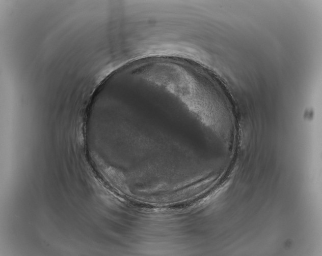 X0000097661497200803142120
