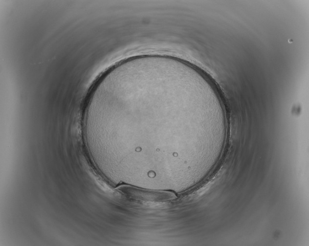 X0000097661498200803142120