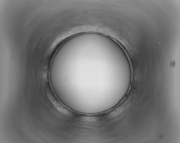 X0000097661499200803142120