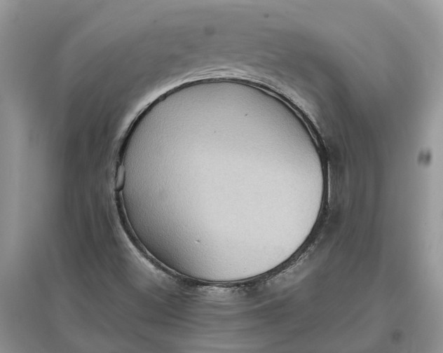 X0000097661500200803142120