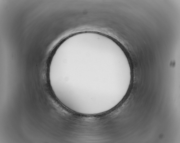 X0000097661502200803142120