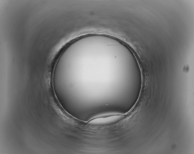 X0000097661503200803142120