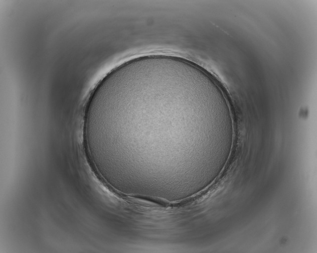 X0000097661504200803142120