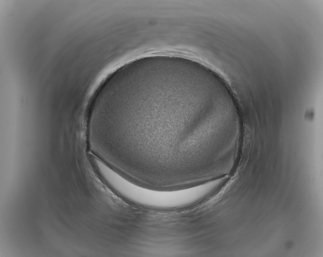 X0000097661506200803142120