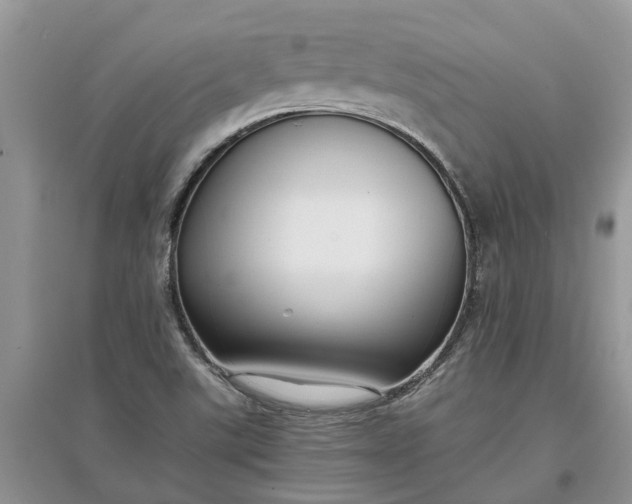 X0000097661507200803142120