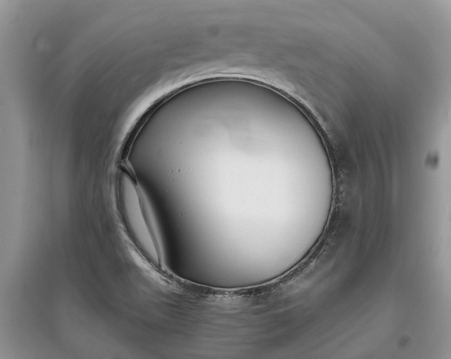 X0000097661511200803142120