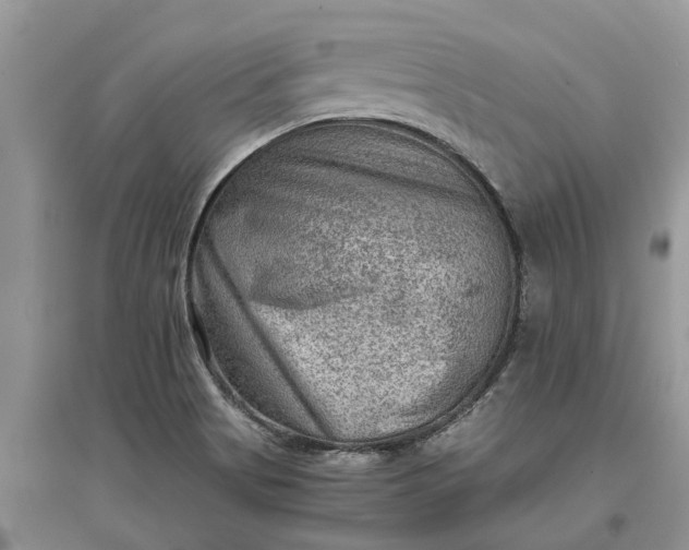 X0000097661513200803142120