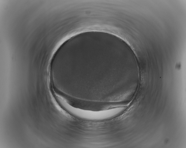 X0000097661515200803142120