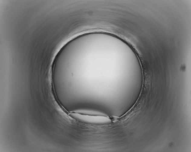 X0000097661516200803142120