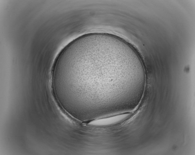 X0000097661517200803142120