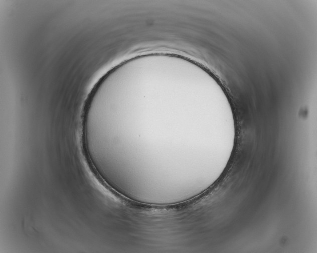 X0000097661518200803142120