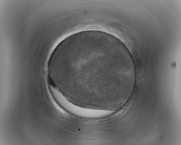 X0000097661519200803142120