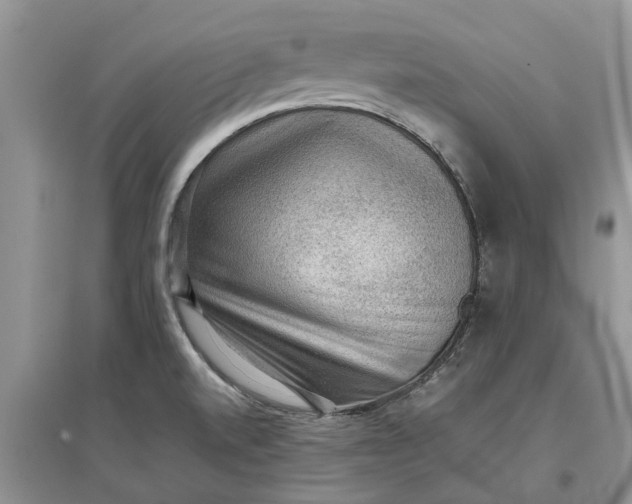 X0000097661520200803142120