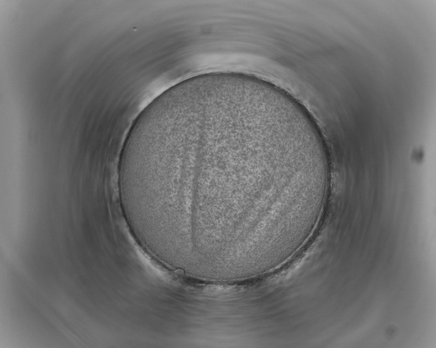 X0000097661521200803142120