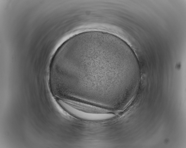X0000097661523200803142120
