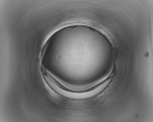 X0000097661524200803142120